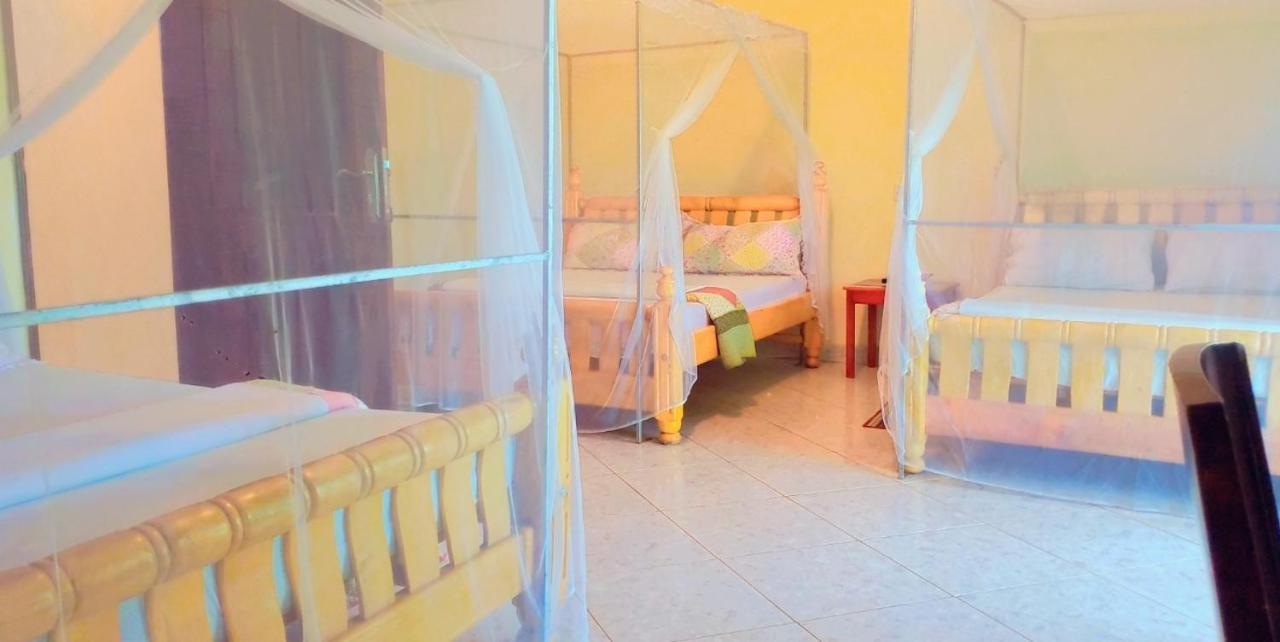 La Feve Beach Bed And Breakfast Entebbe Энтеббе Экстерьер фото